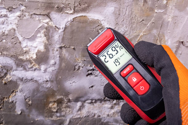 Best Residential Mold Removal  in Derby, CO