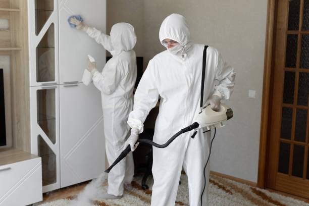 Best Attic Mold Removal  in Derby, CO
