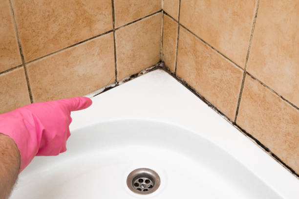 Best Crawl Space Mold Removal  in Derby, CO
